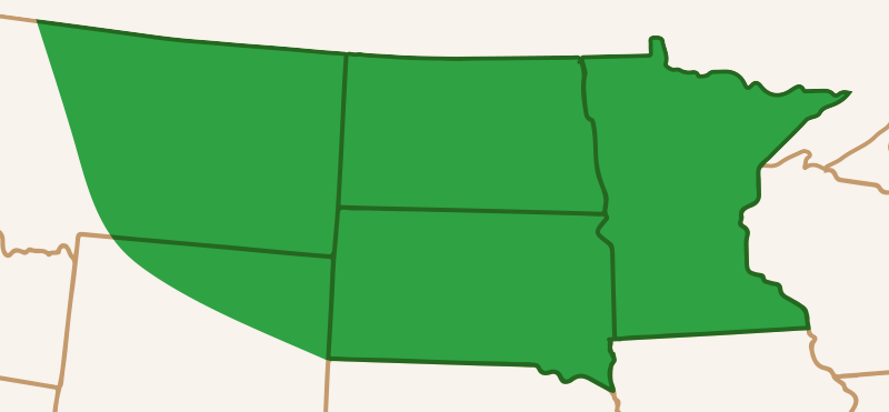 Meridian Seeds Map Spring Wheat MS-Charger