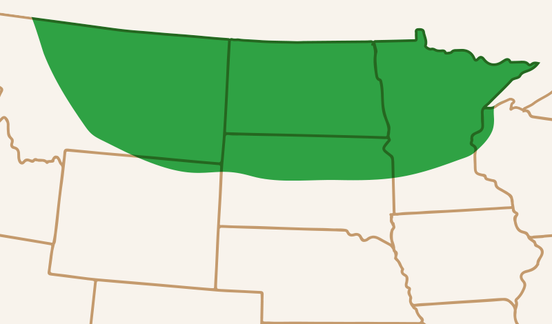 Meridian Seeds Winter Wheat Maps AAC Vortex