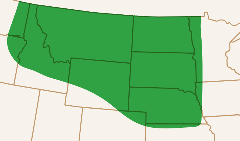 Meridian Seed Map Yellow Field Pea MS GrowPro